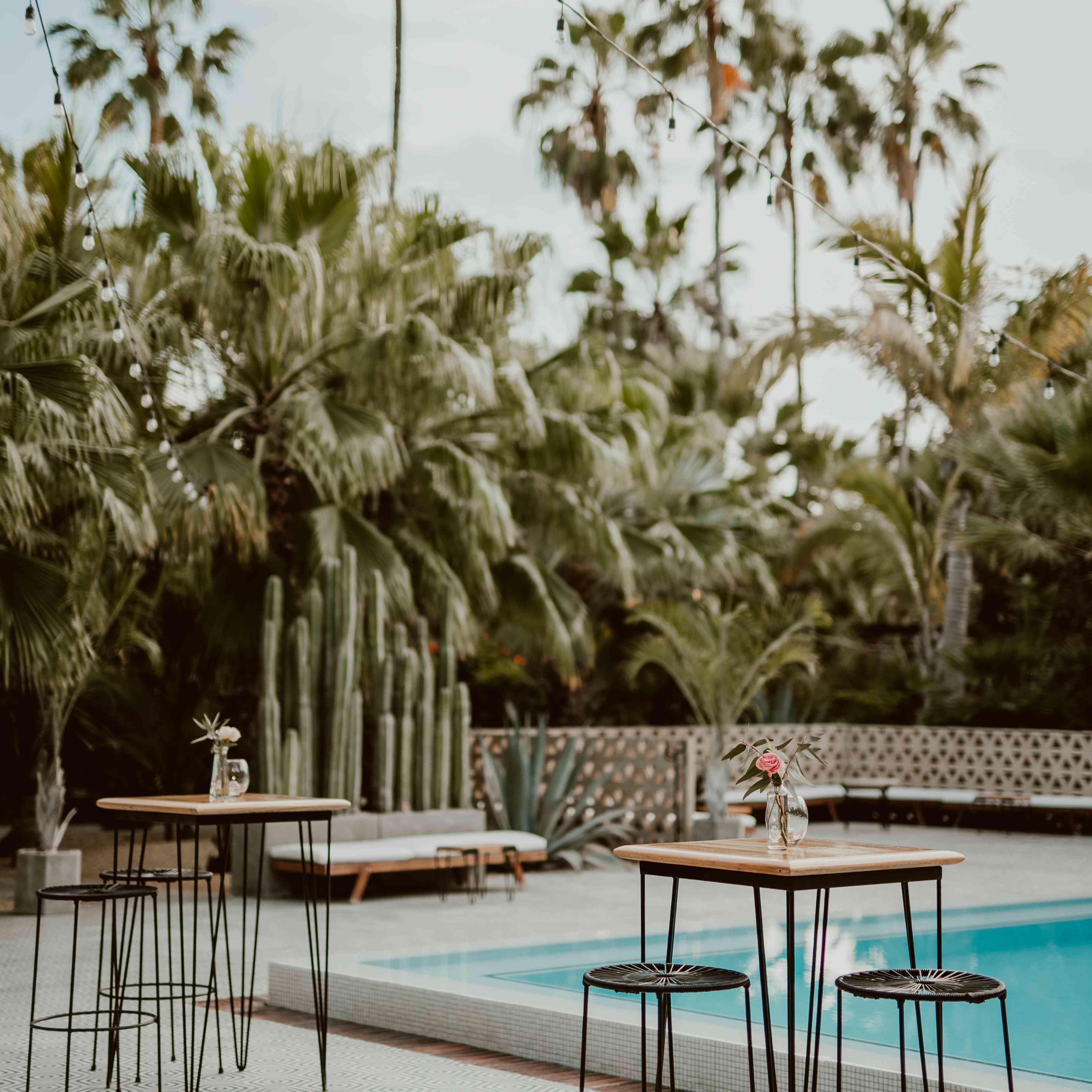 鸡尾酒的表gydF4y2Ba