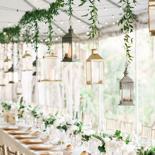 挂着绿叶的灯笼