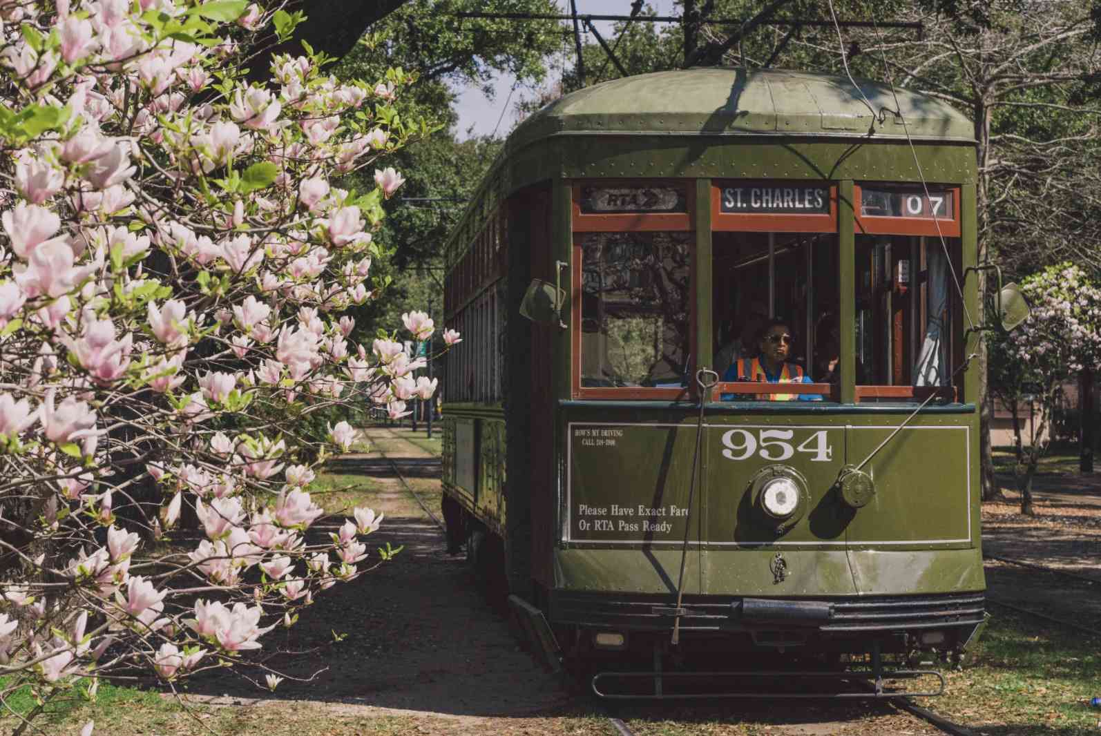 新奥尔良圣查尔斯大道上的绿色电车