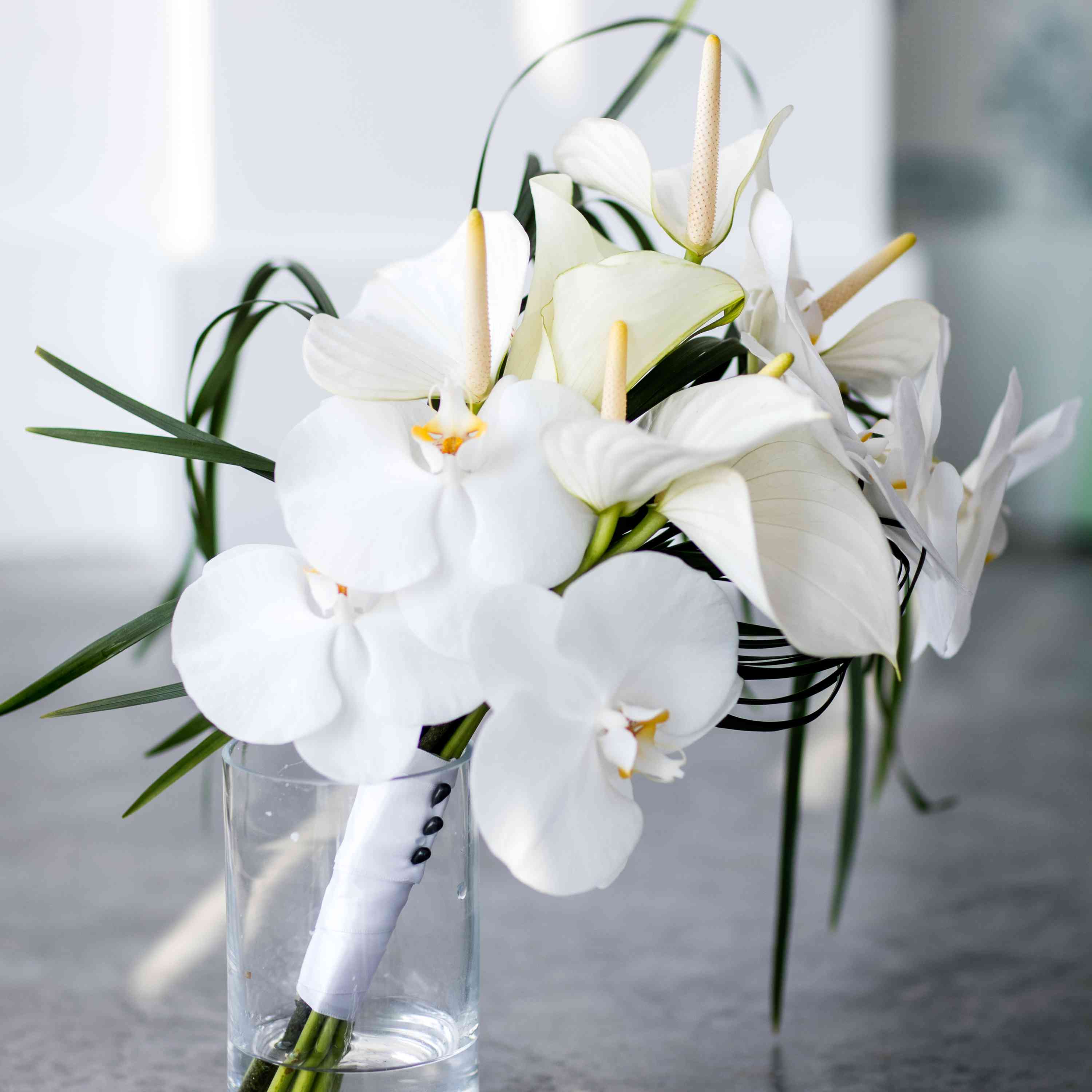 <P>白色婚礼鲜花</ P>搜索结果