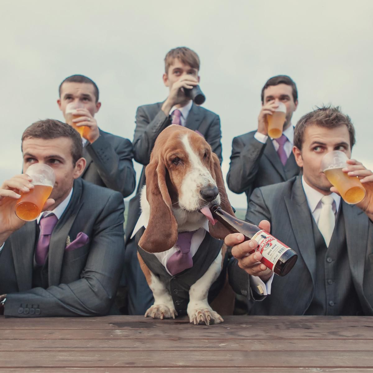 伴郎与小猎犬喝啤酒