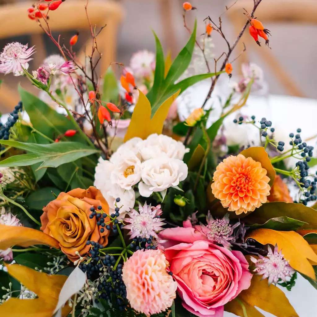 五颜六色的花卉中心