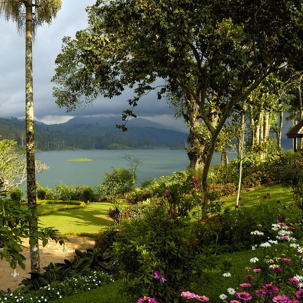 <P>卡斯尔雷平房在茶小径，在斯里兰卡度假</ P>