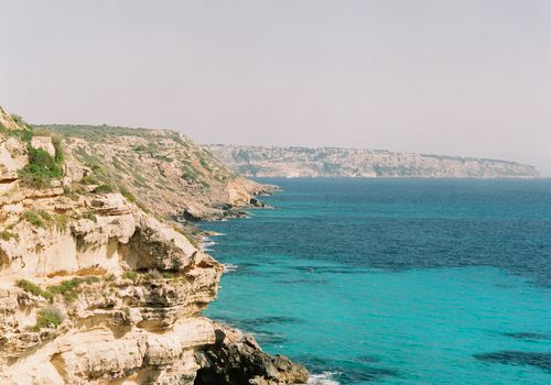 海洋
