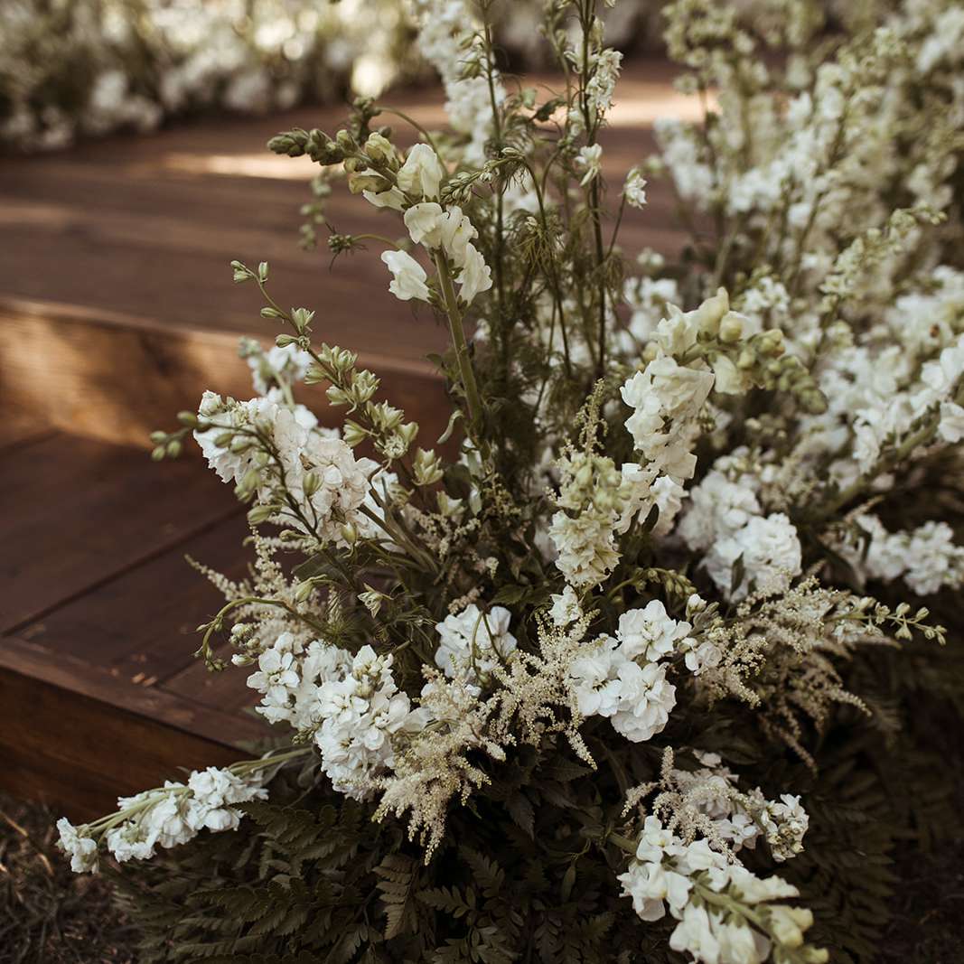 仪式的花＂class=