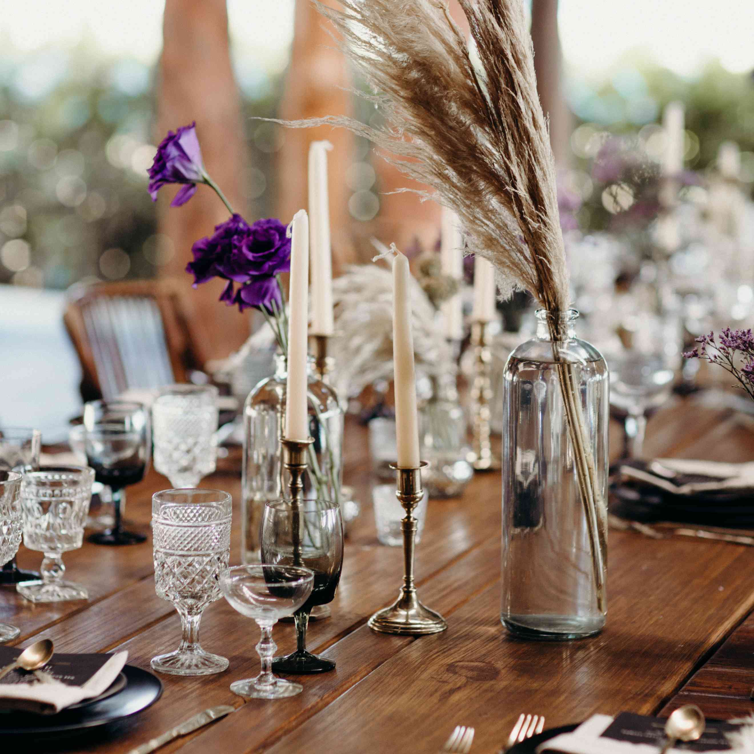 马林·阿克曼的接待