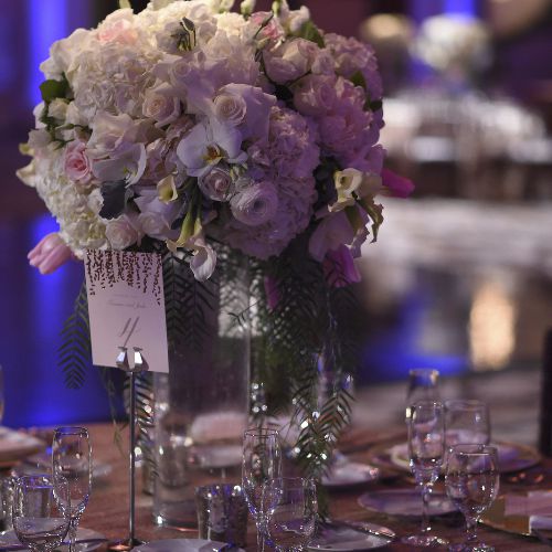 杰德·罗珀和坦纳·托尔伯特