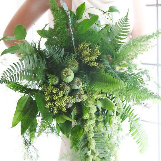 花束蕨类植物，罂粟荚，尾随苋菜，以及纤细的铁线莲藤。