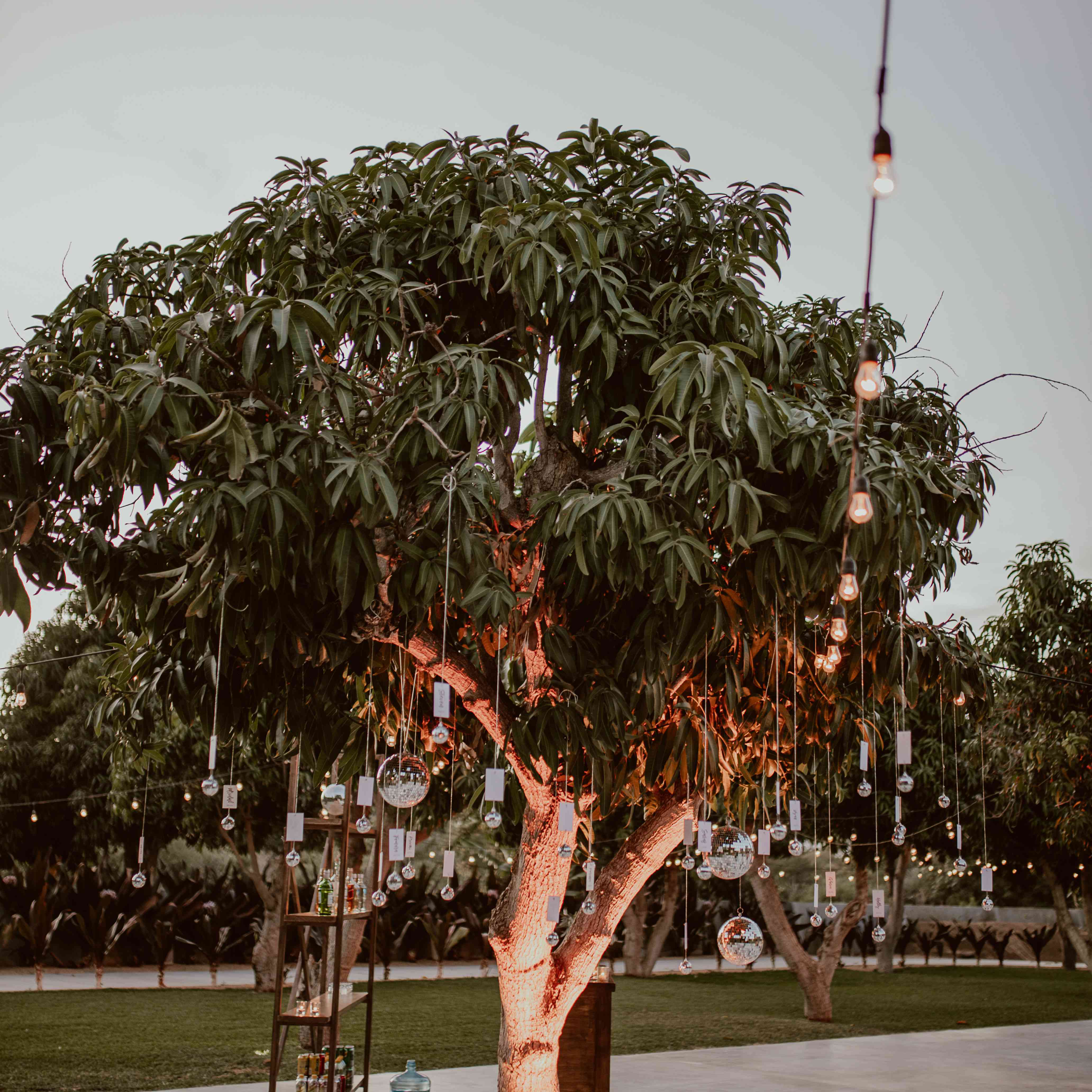 晚上接待gydF4y2Ba