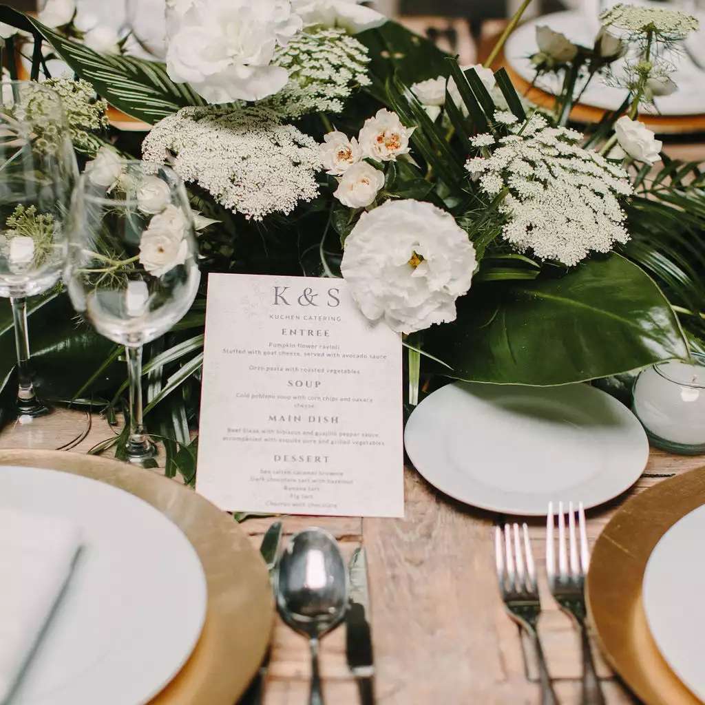 白色的热带中心