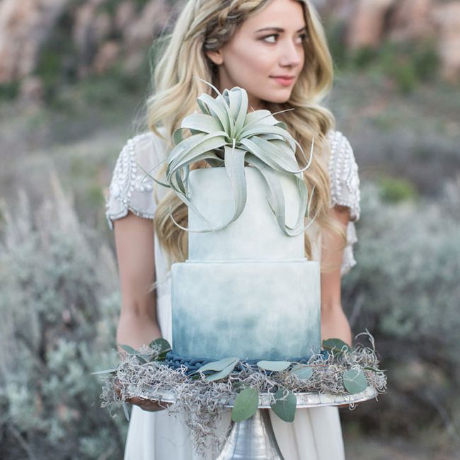 蓝灰色婚礼蛋糕与空中植物顶部