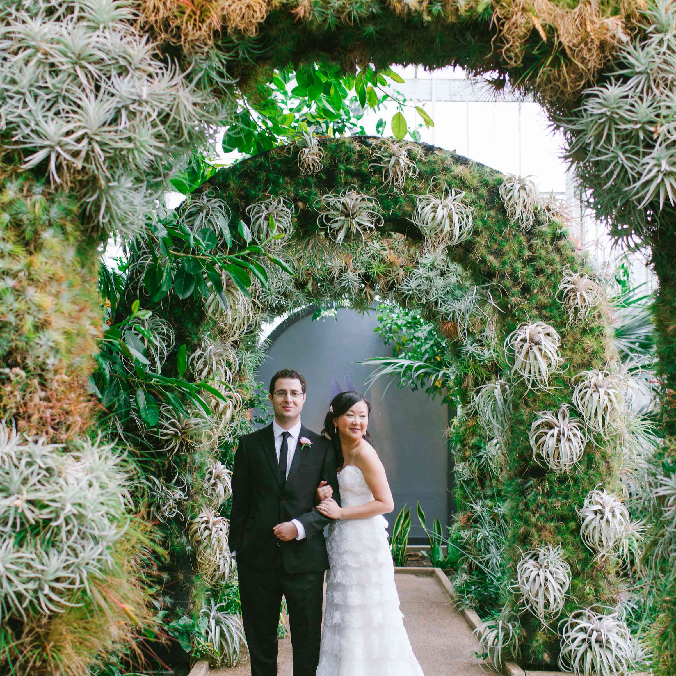婚礼拱形的空中植物与新娘和新郎