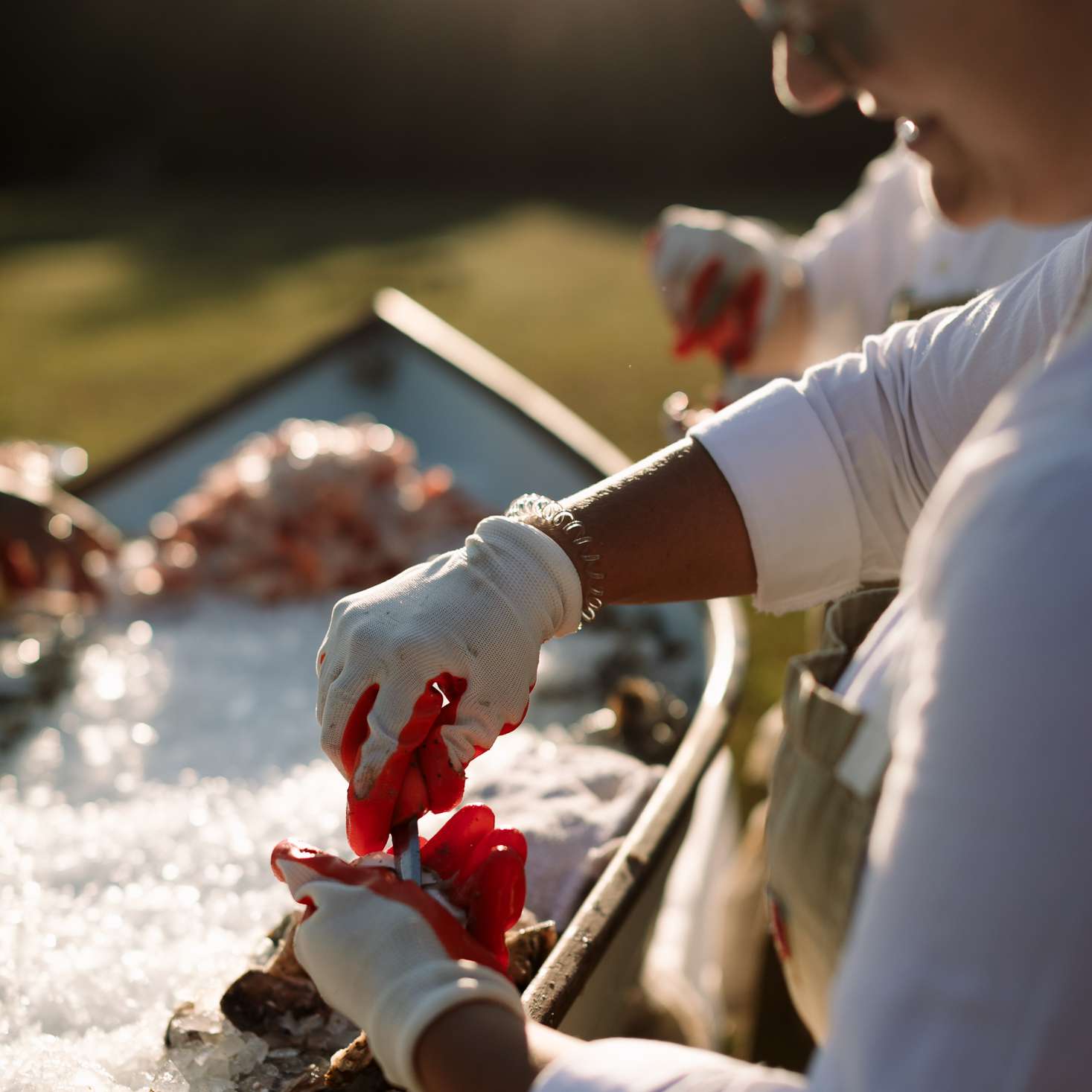 在家质朴马萨诸塞州举行婚礼，鸡尾酒牡蛎酒吧
