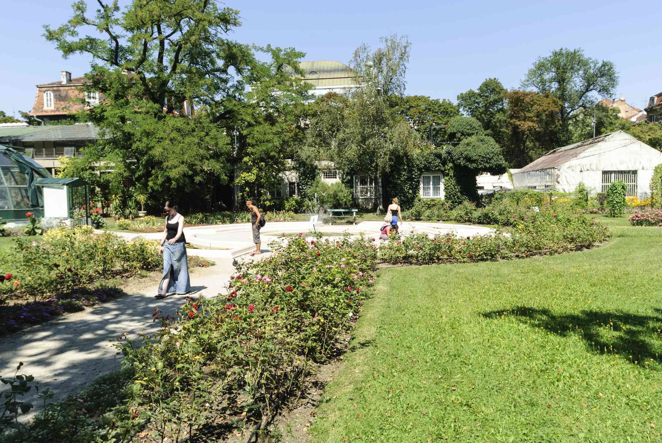 人们在植物园里