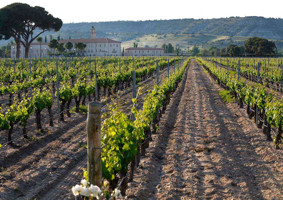 阿巴迪亚Retuerta LeDomaine，西班牙