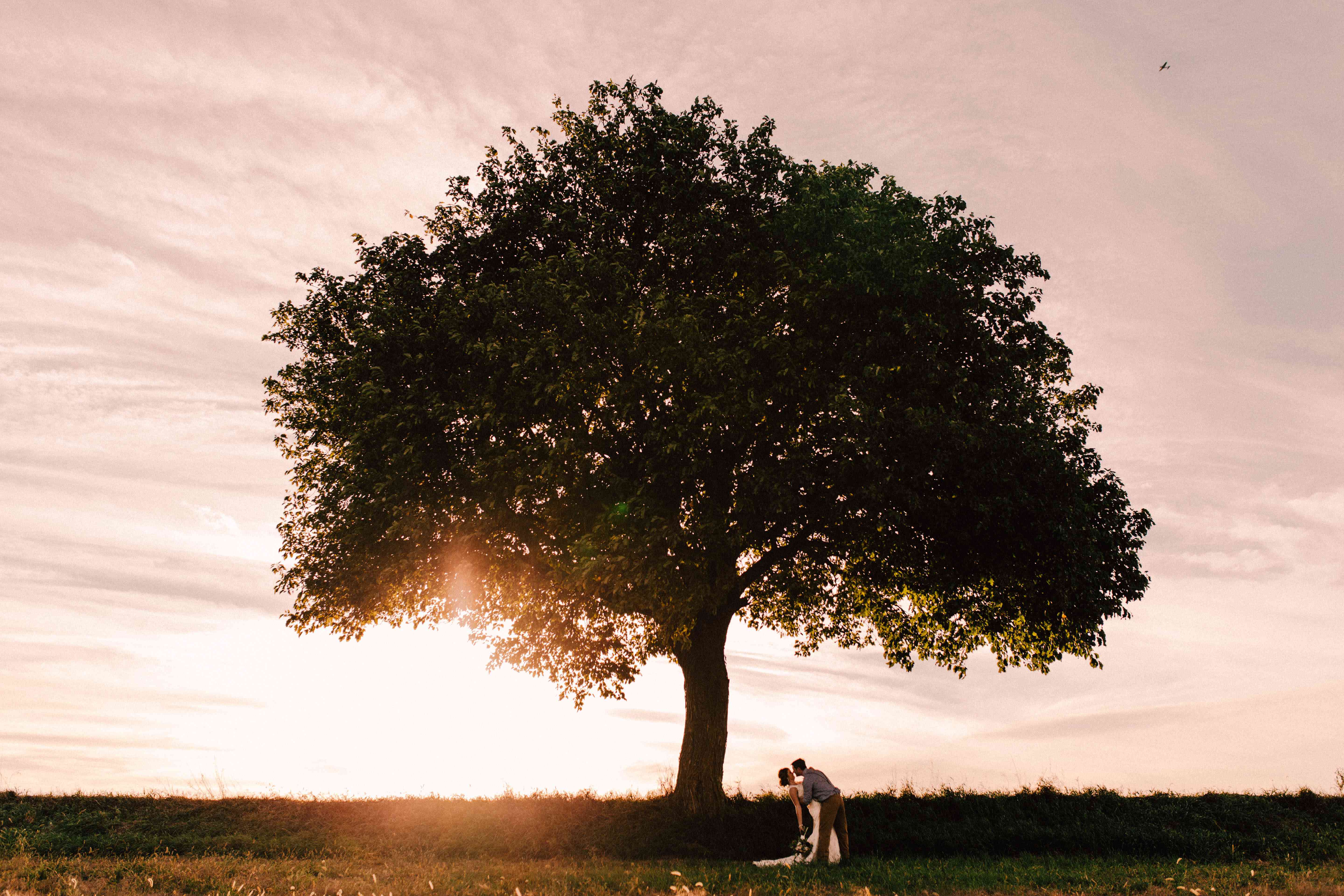 <P>婚礼照片密苏里州堪萨斯城</ P>