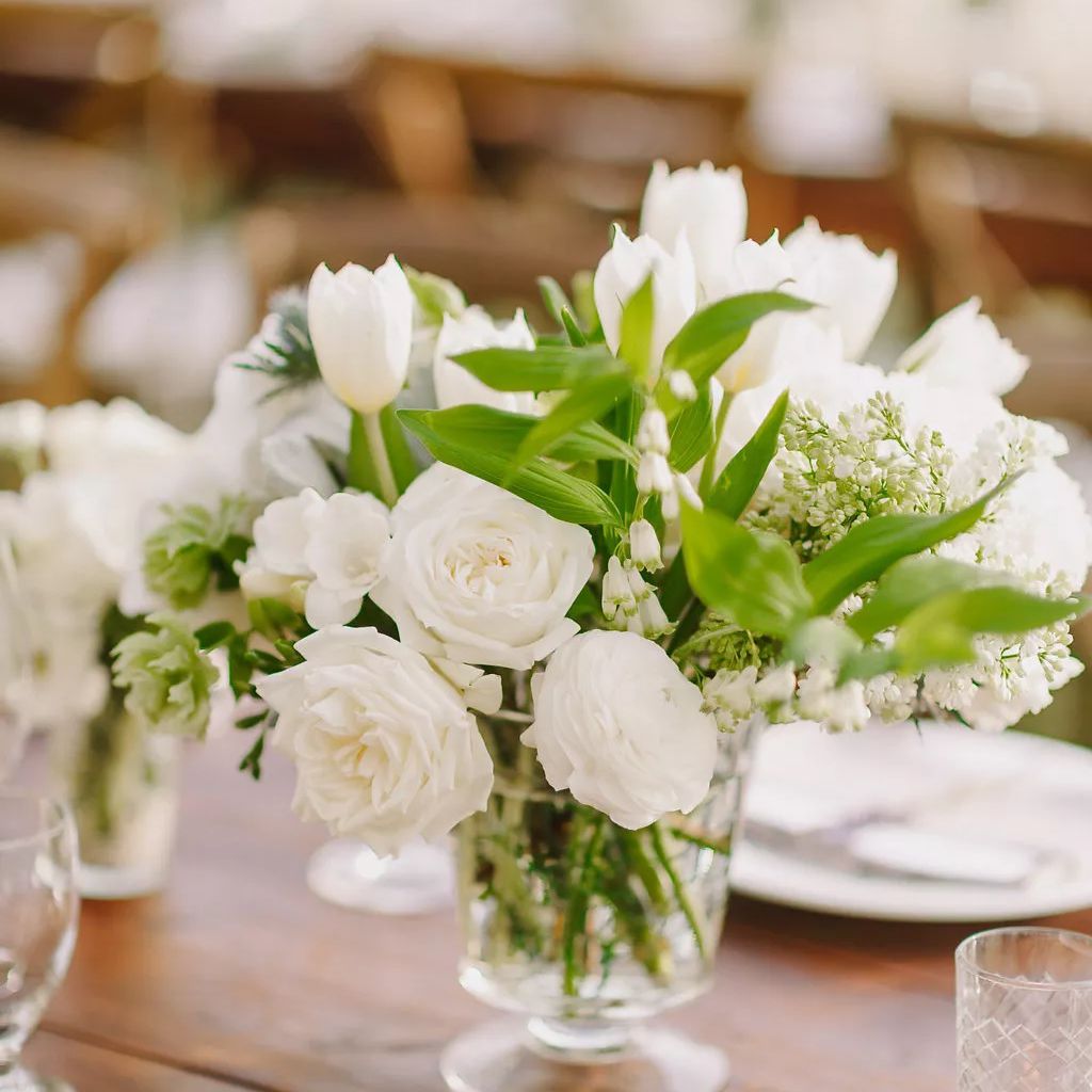 郁金香花卉中心