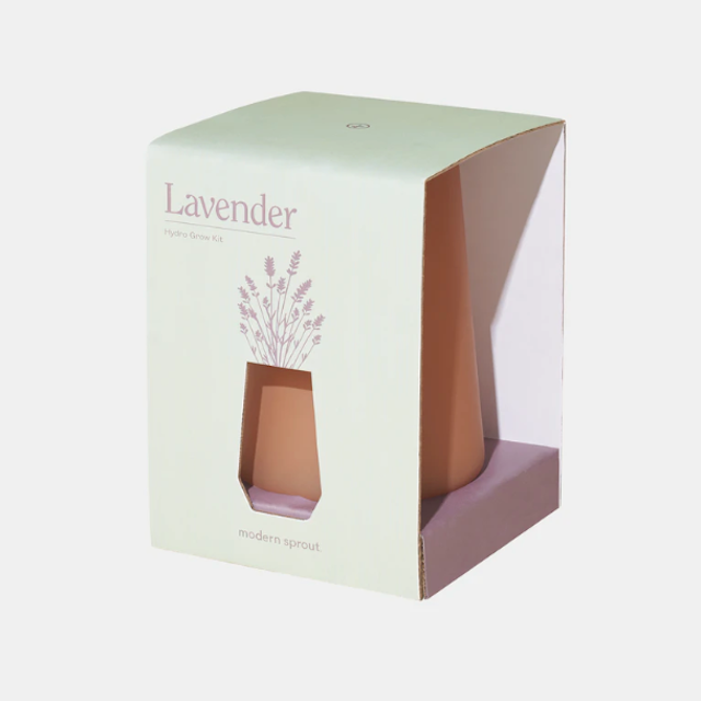 现代萌芽薰衣草室内的Grow套件