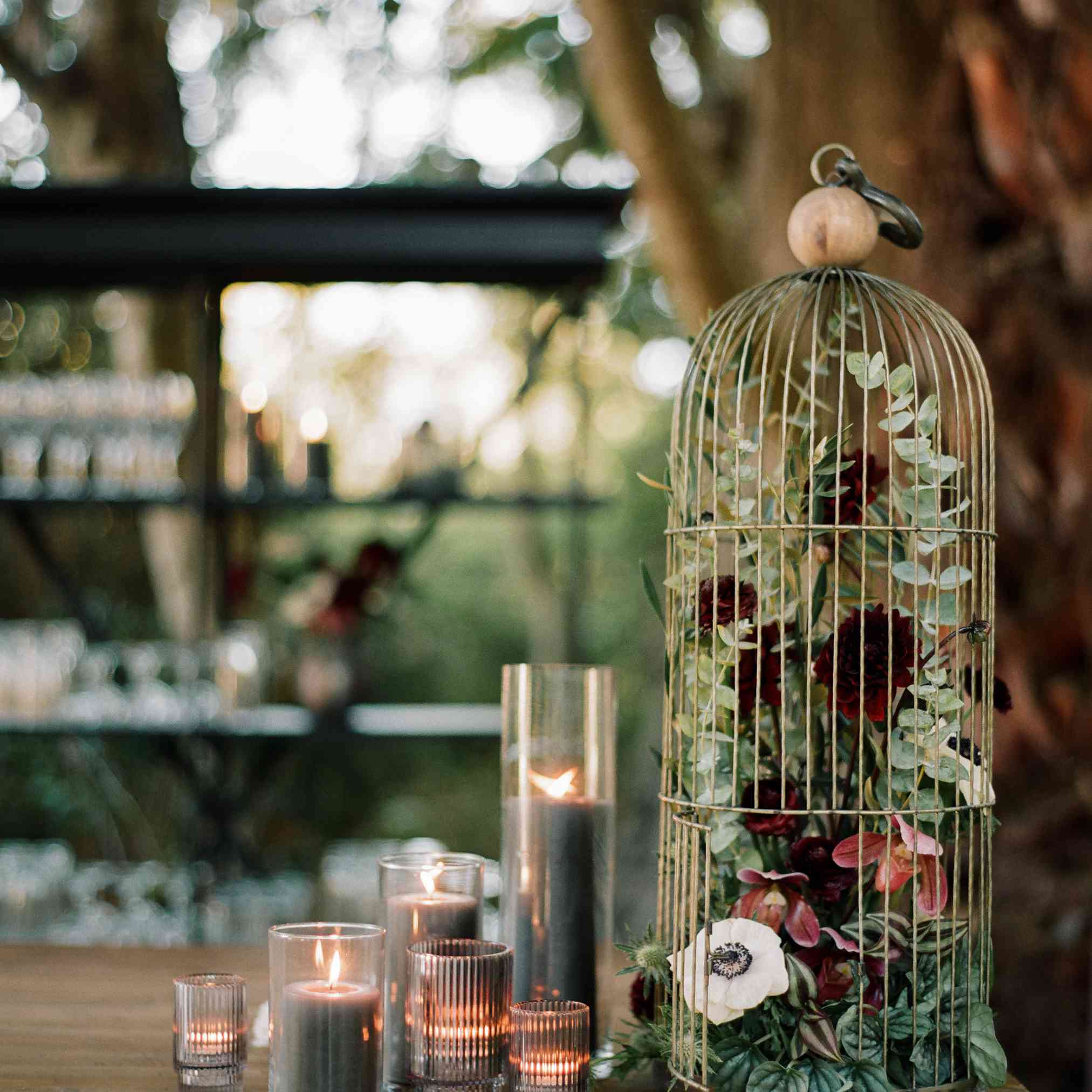 蜡烛和鸟笼