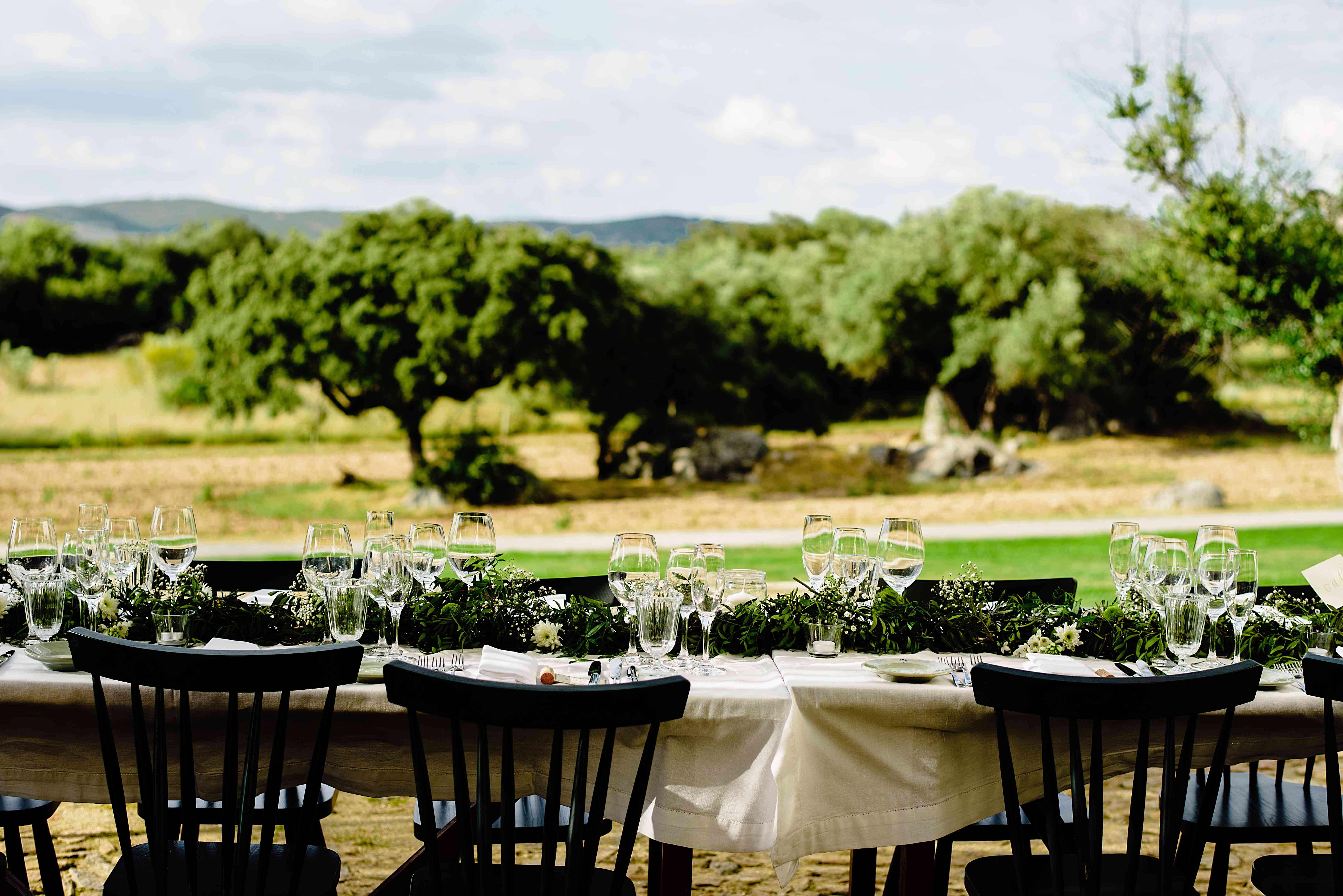 < p > Tablescape < / p > < br > < br >