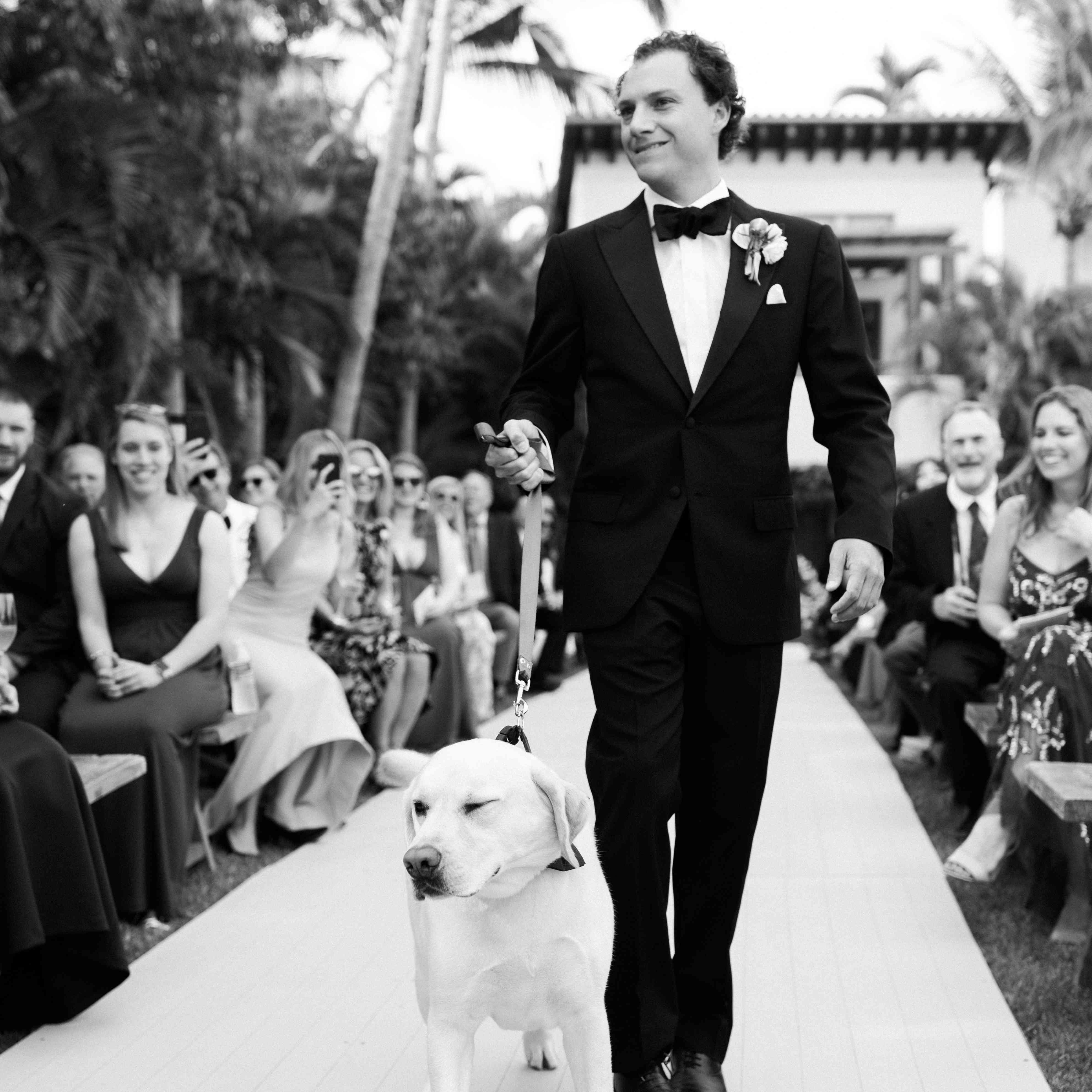 狗亨利走到过道上