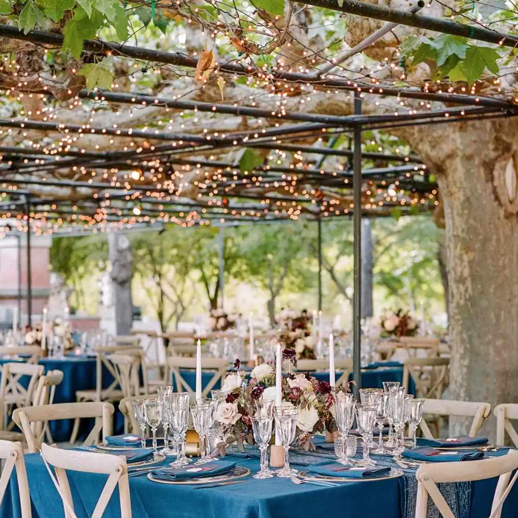 铁和树叶覆盖着花架，上面点缀着细绳灯