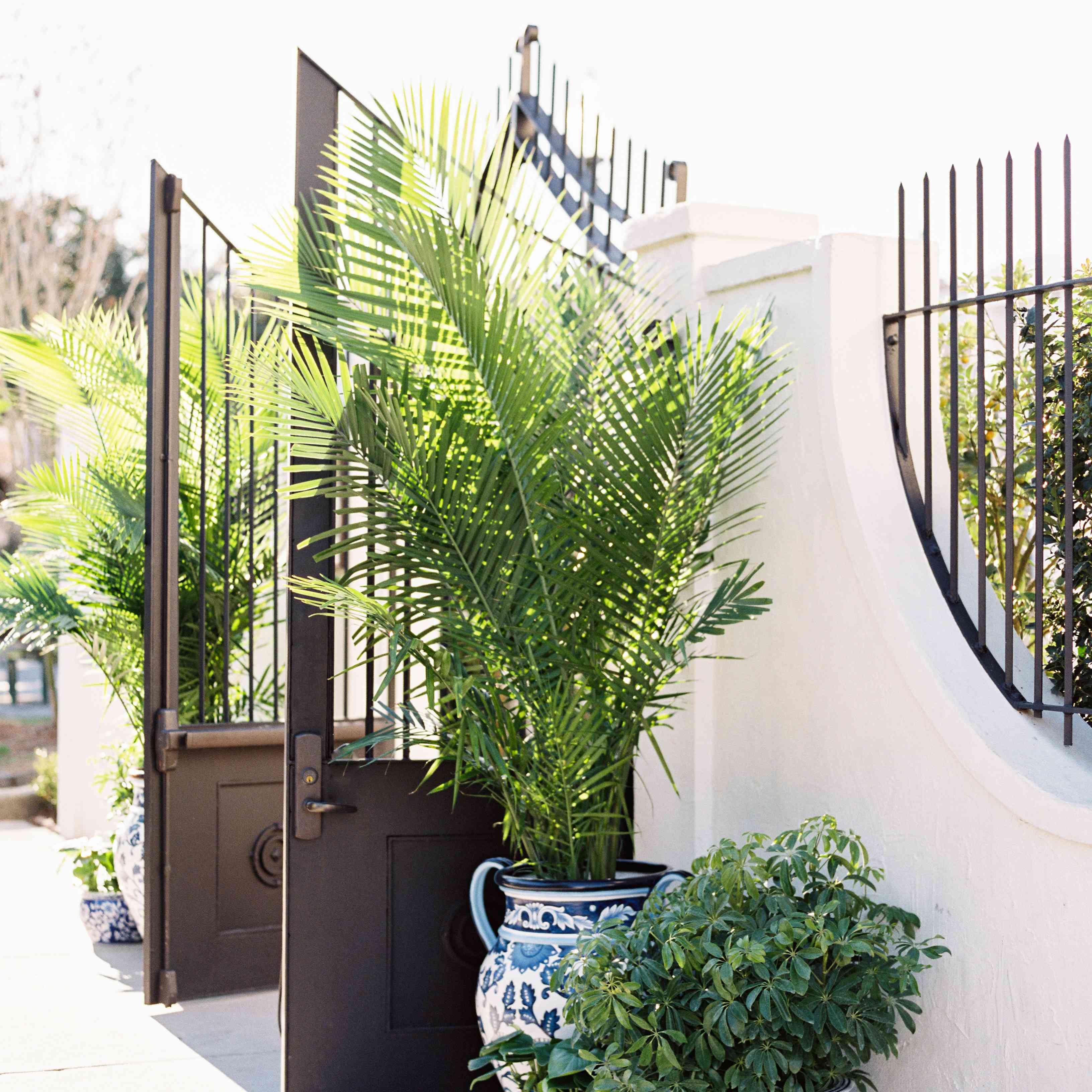 < p >庭院婚礼< / p > < br > < br >