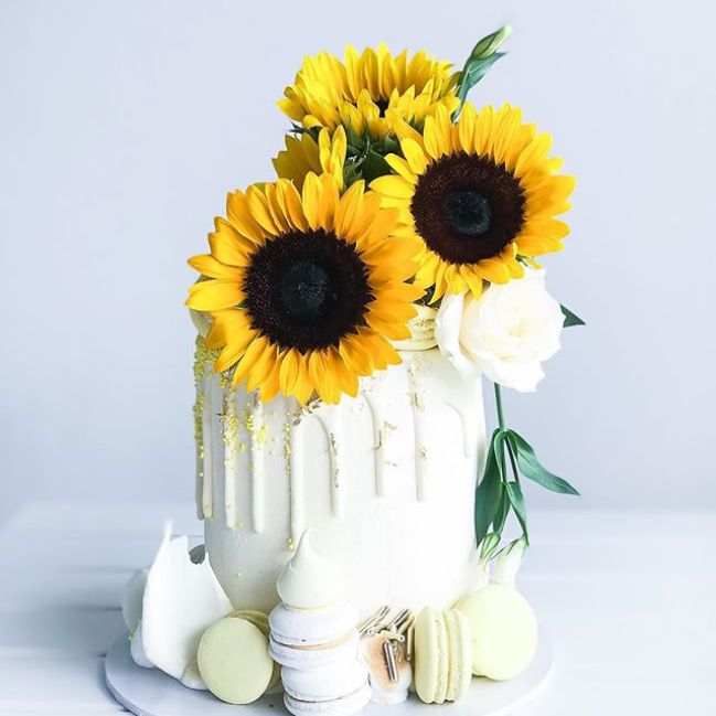 向日葵蛋糕