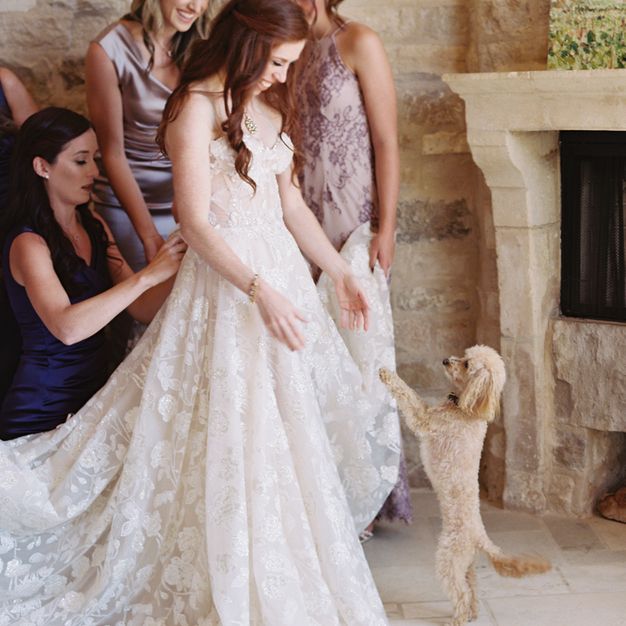 新娘与狗