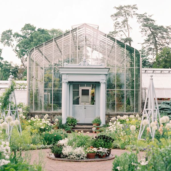 花园环境中的新娘、新郎和主礼嘉宾