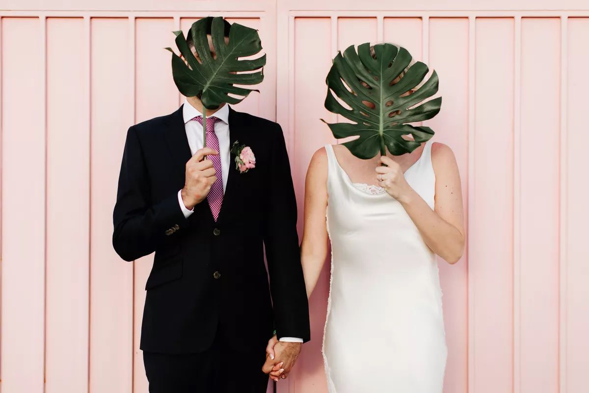 一对夫妇拿着巨大的树叶