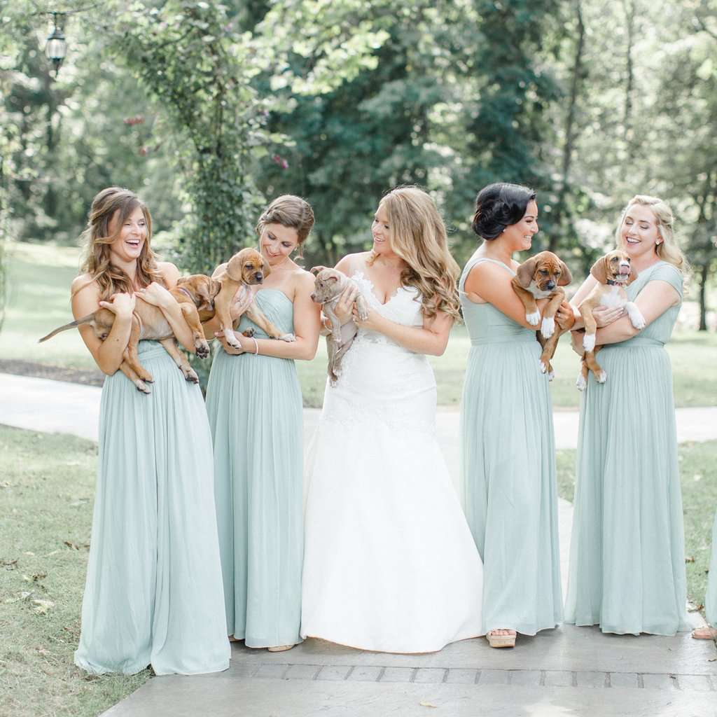 拿着小狗的伴娘