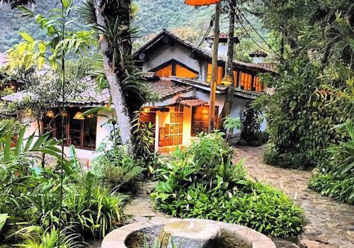 热带森林住宿