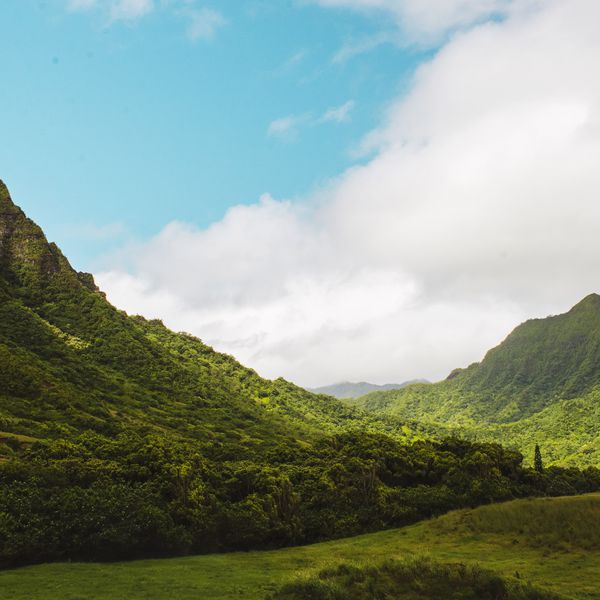 Kualoa牧场