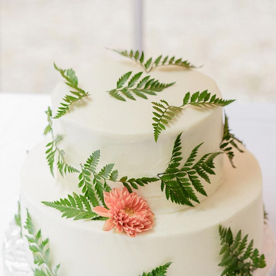 蛋糕和蕨类植物