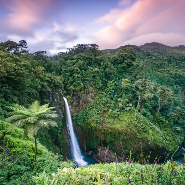 瀑布在哥斯达黎加的绿色森林里
