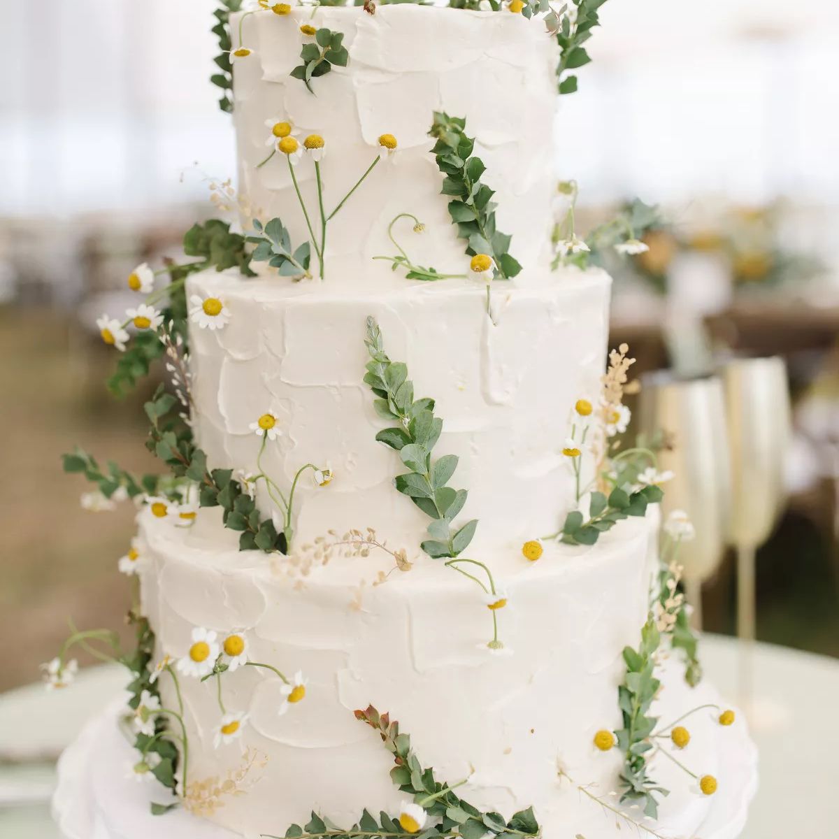 蛋糕与绿叶和雏菊