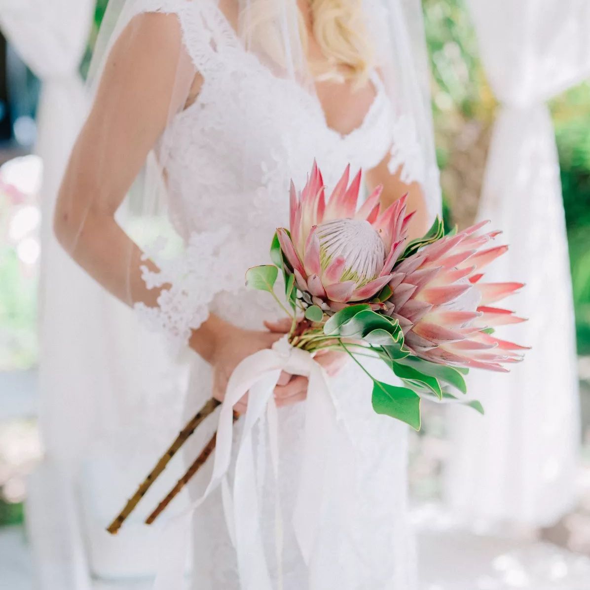 国王山龙眼花束