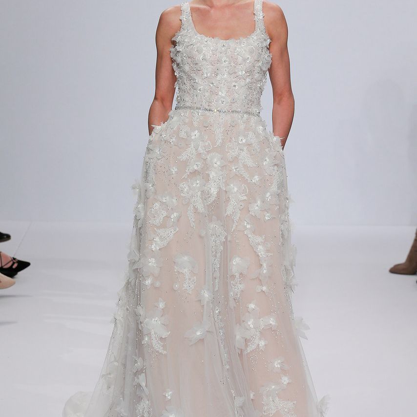 兰迪·芬利的柯菲德