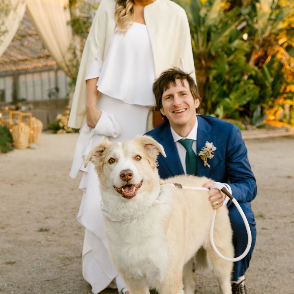 与狗的新娘和新郎