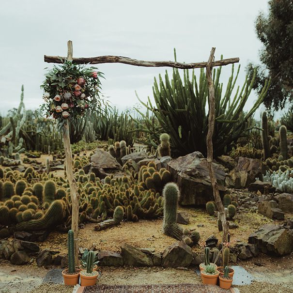 沙漠启发婚礼拱门