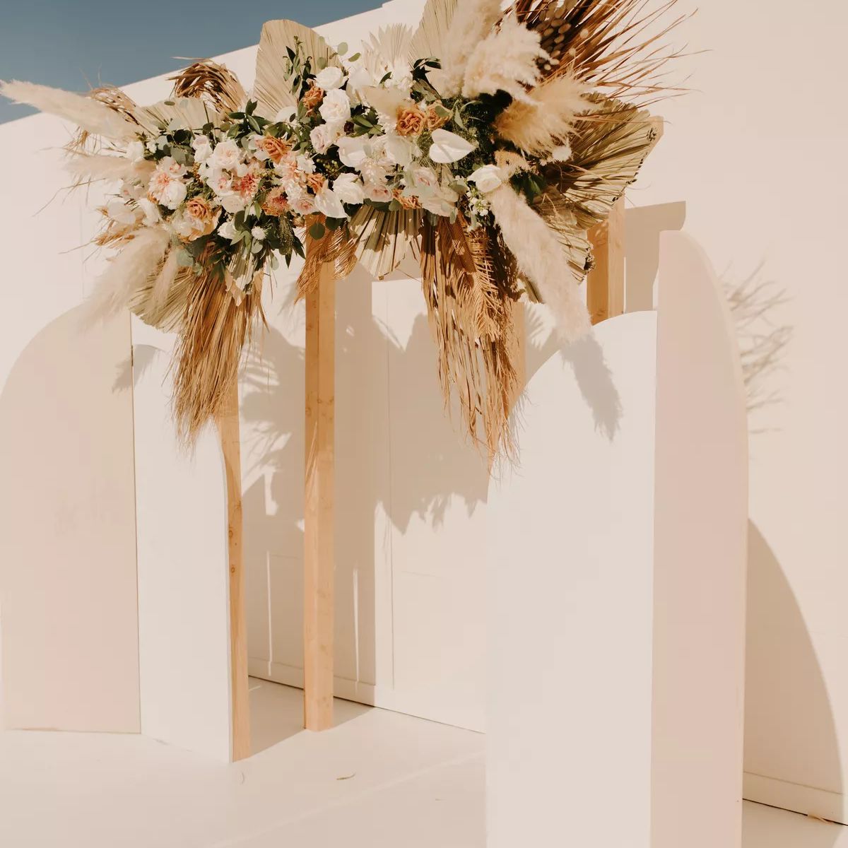 木拱与潘帕斯草