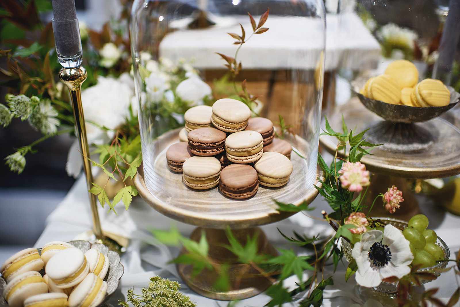 玻璃圆顶的马卡龙