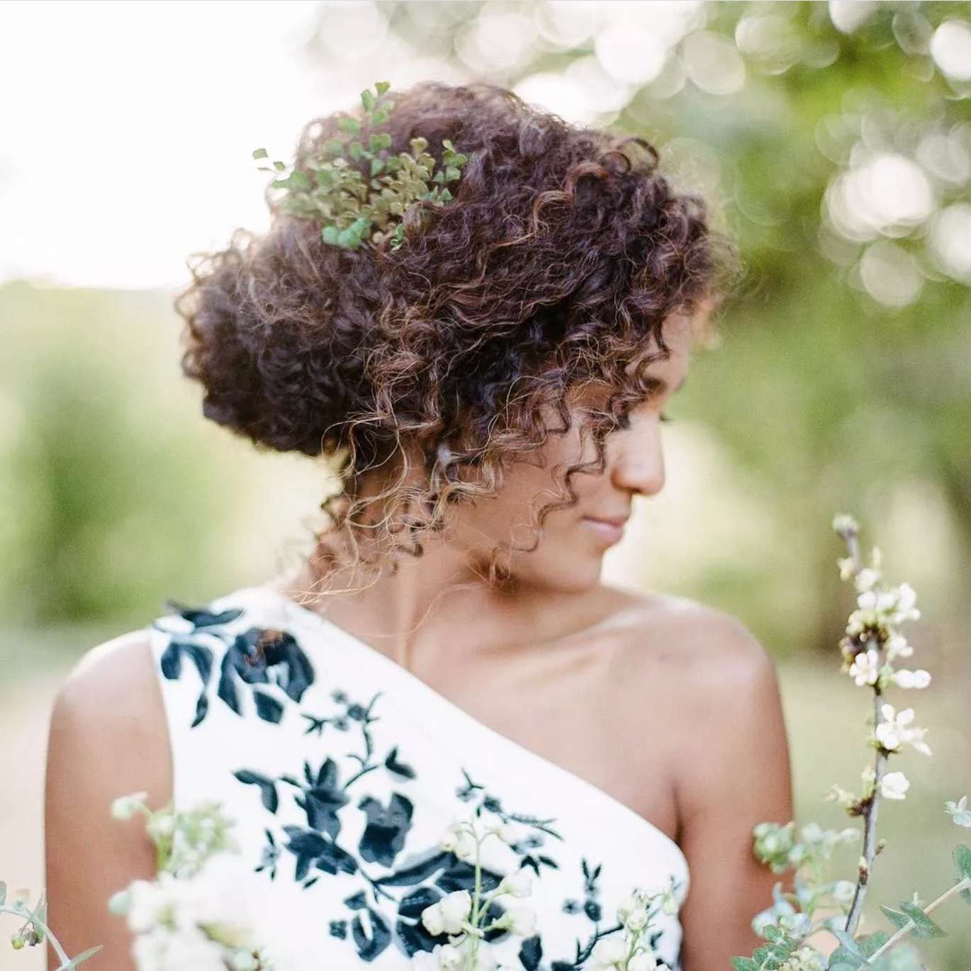 卷毛发髻绿意盎然