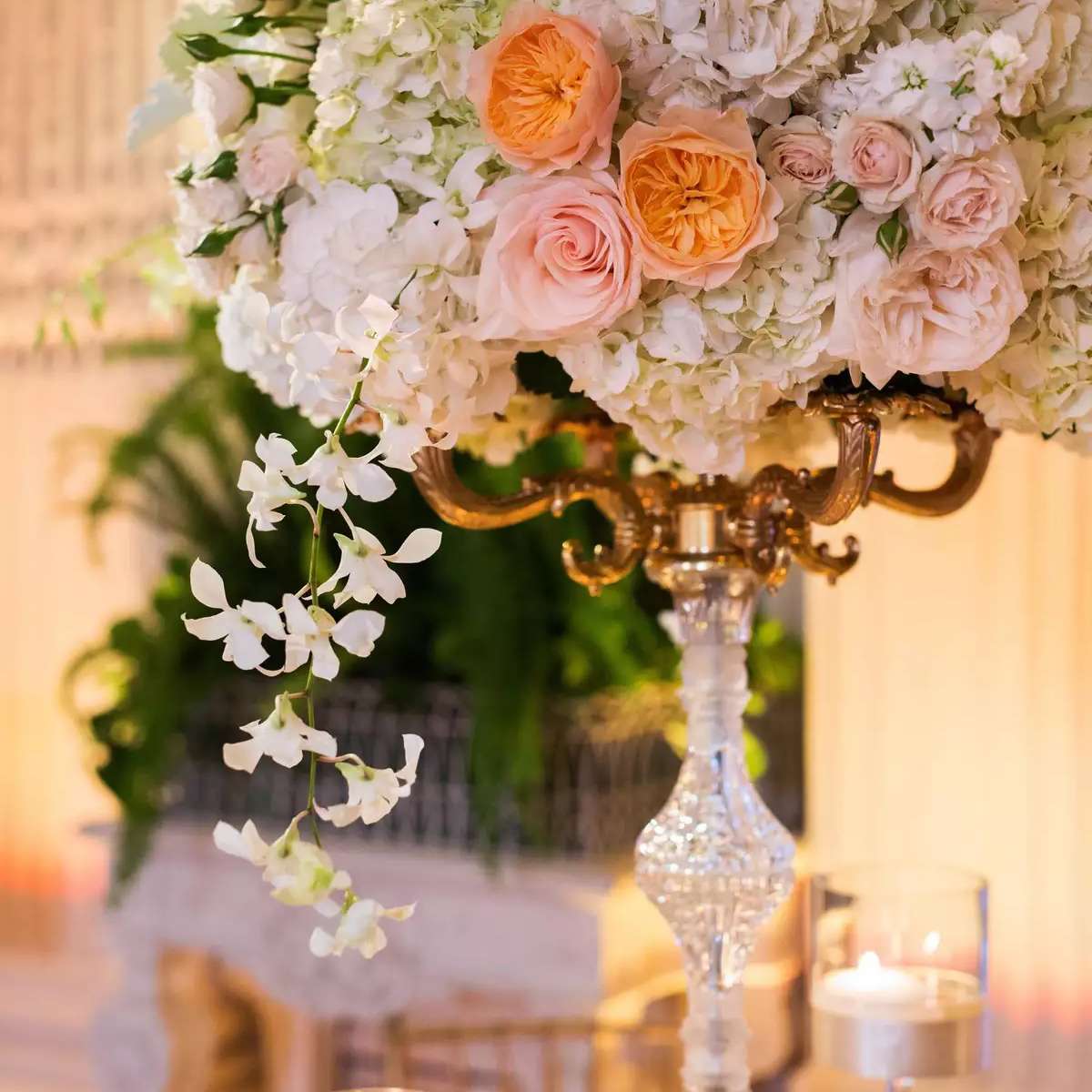 高大的玫瑰和绣球花核心