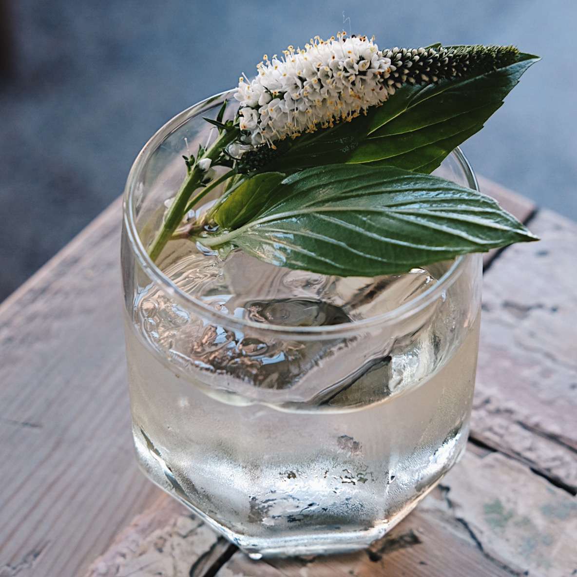 酒精，招牌鸡尾酒，饮料，玻璃，冰，饮料，酒吧，食用花卉，高球杯中