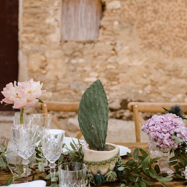 简单仙人掌中心