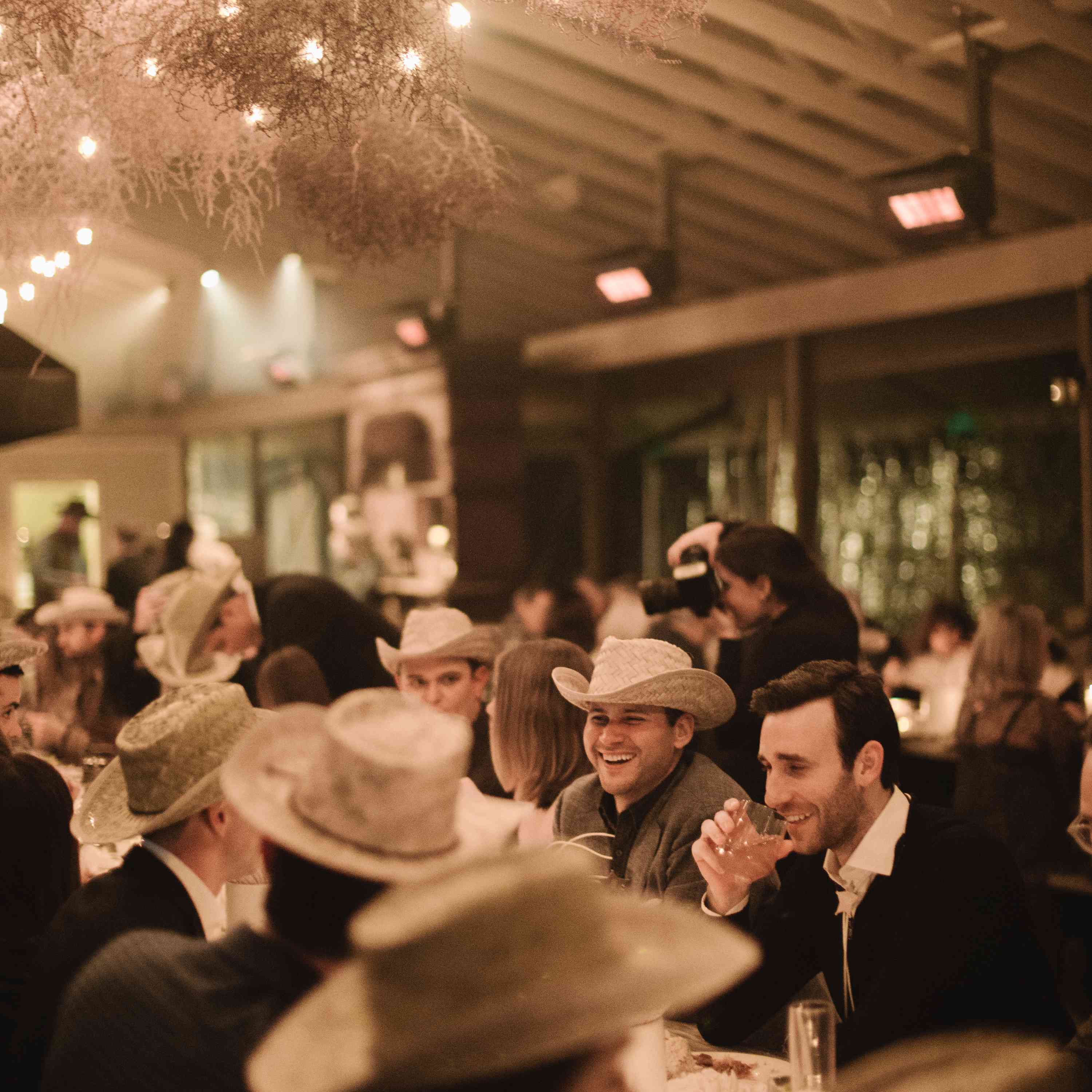 风滚草植物的安装