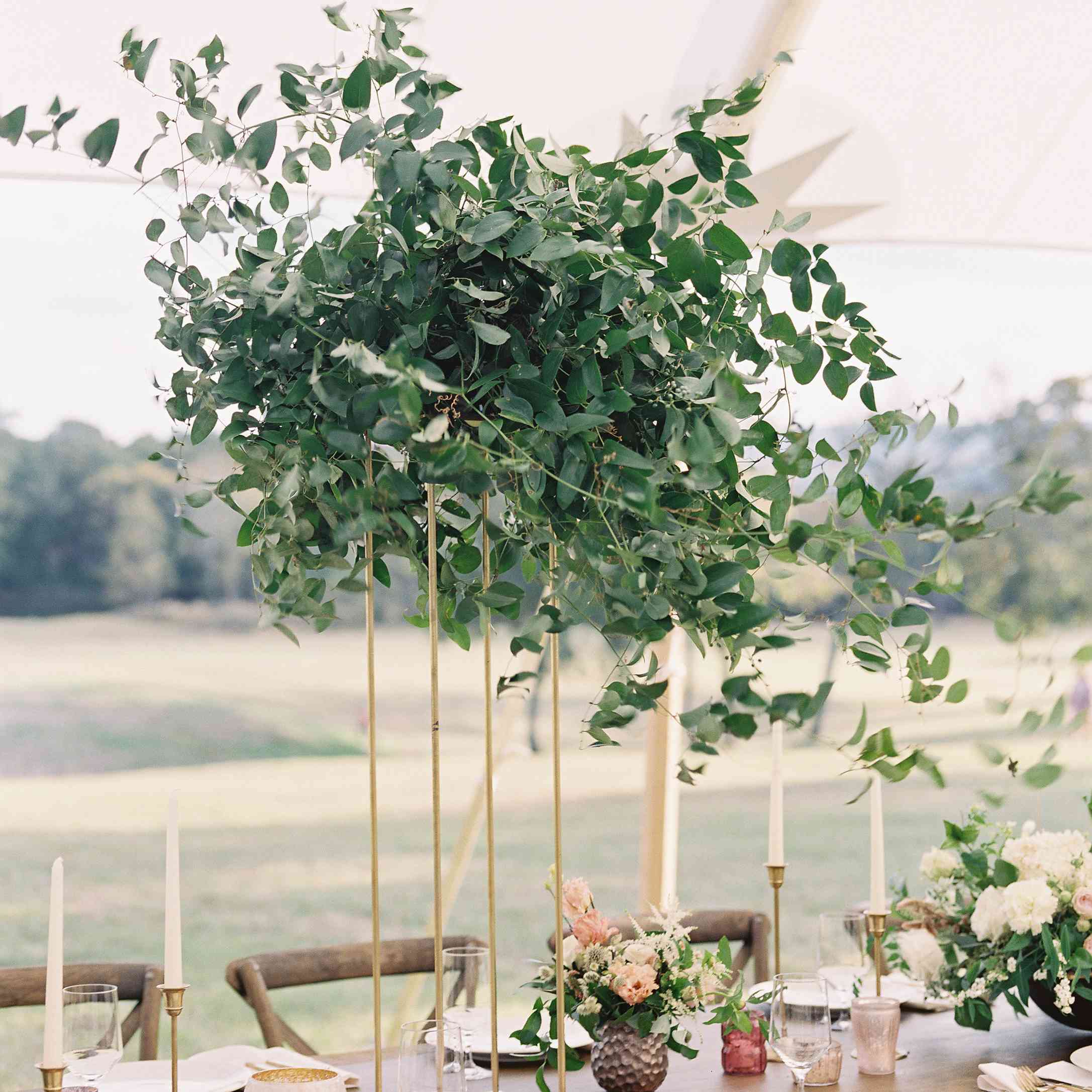 < p >绿色核心< / p > < br > < br >