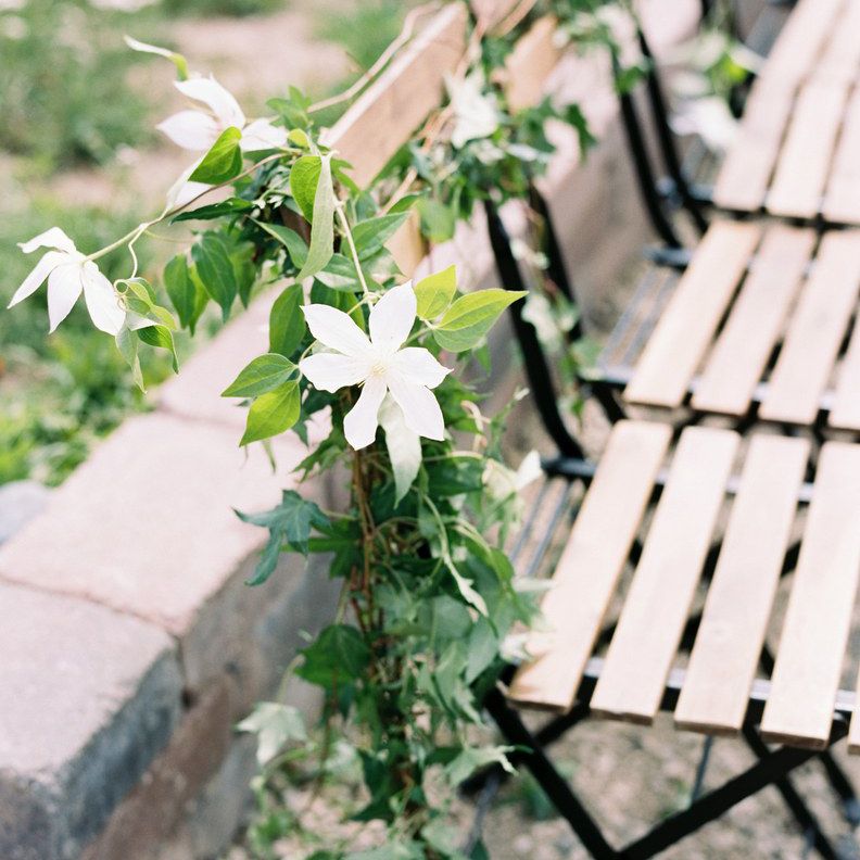 White flowers on seats